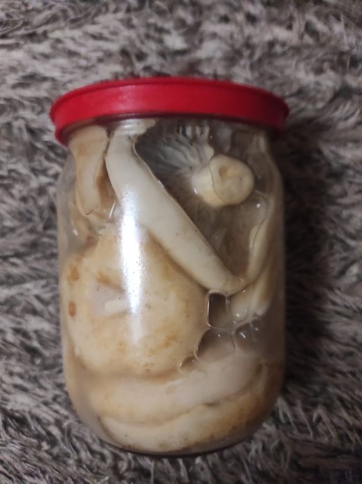 Грибы грузди варёные