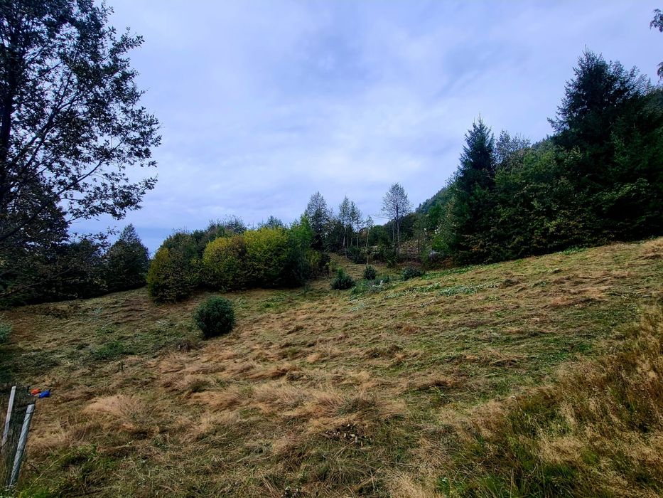 Teren  Arșița Poienii