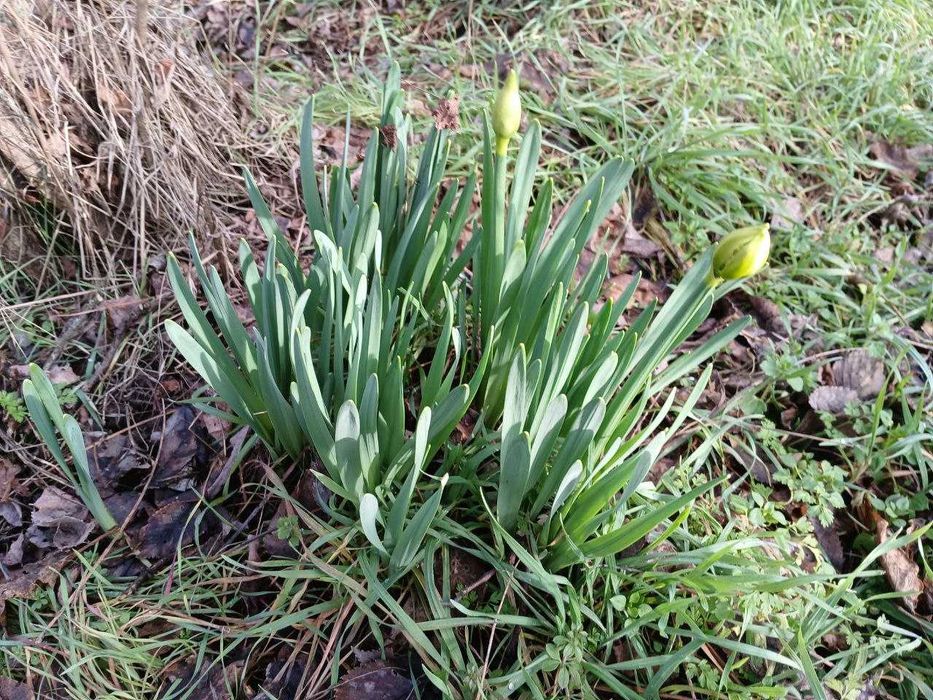 Продава се Парцел в с. Отец Паисиево, Област Пловдив - 20 кв.м за 893 €/кв.м - Снимка #7