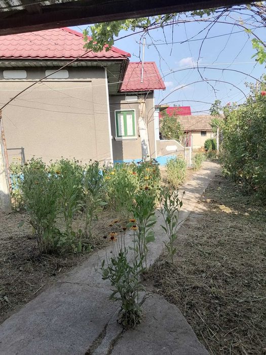 Casă în satul Zebil cu vedere superbă spre lacul Babadag