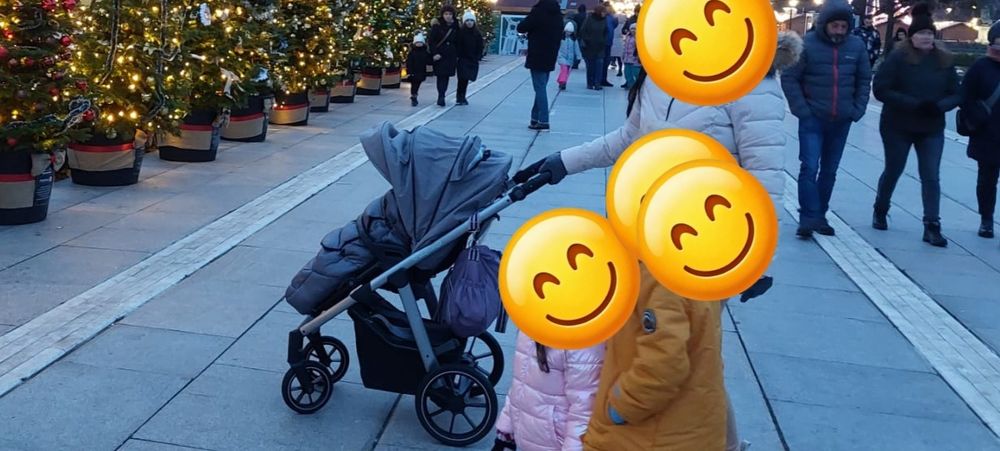 Бебешка количка Husky 2 в 1