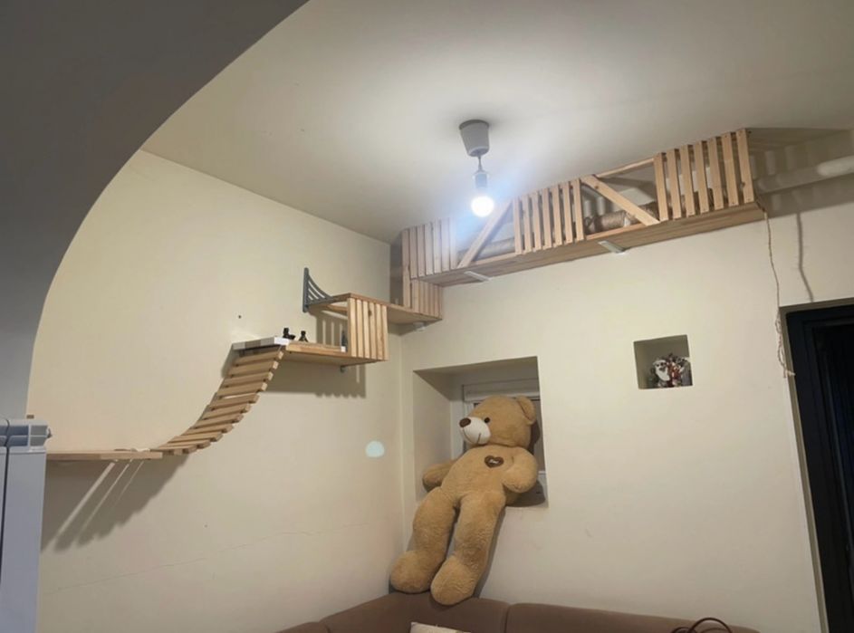 Ansamblu traseu pisici lemn masiv