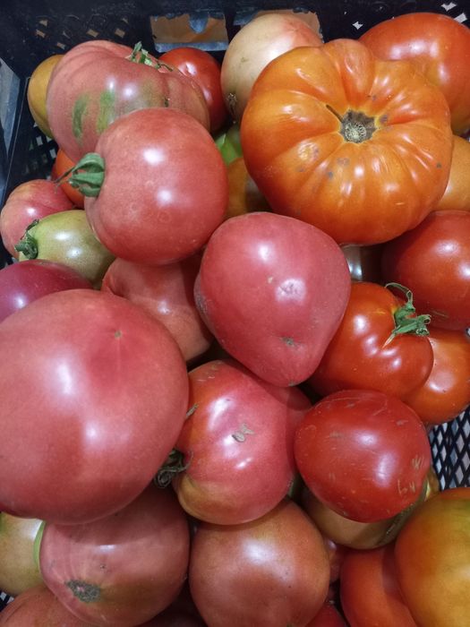 Поиидоры вкусные