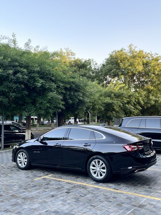 Malibu 2 Premier