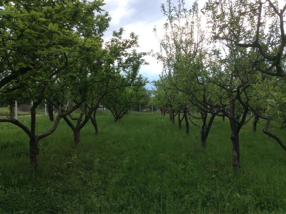 Vand teren intravilan - Livada Zalau