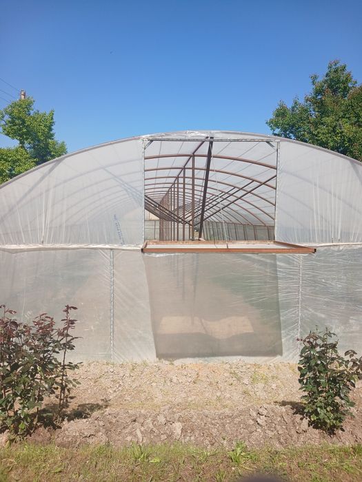 Kartoshka va sarimsoqliyoz