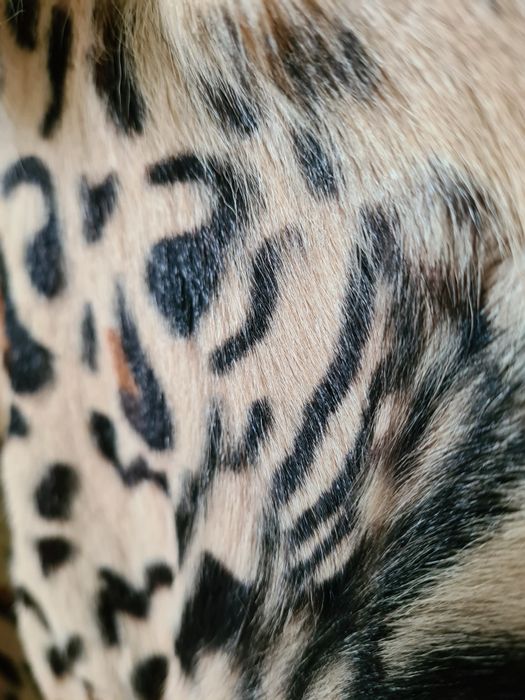 Продам шикарную шубку