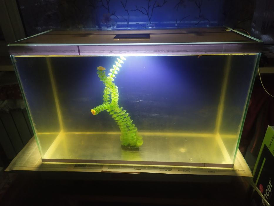 Аквариум 141л + фильтр и рыбки.