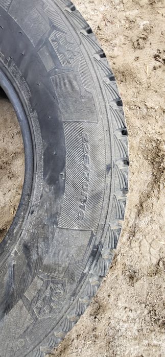 Қысқы балон Корейски