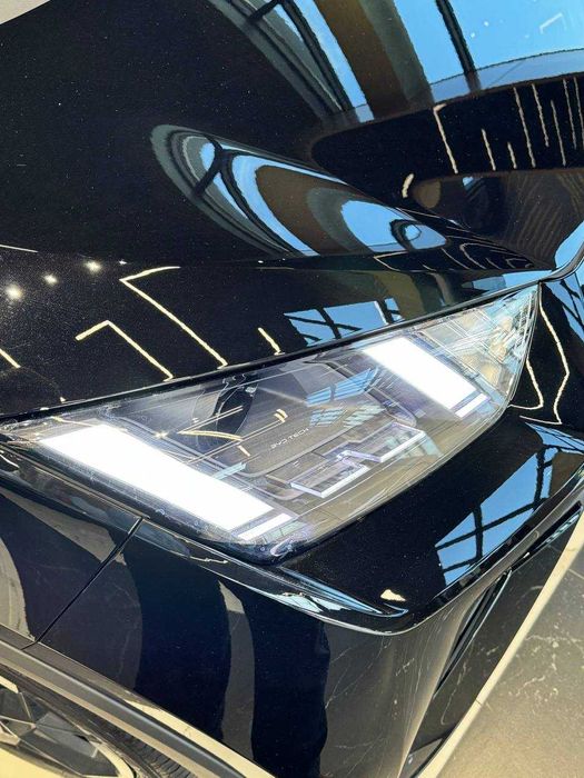 Seagull  405KM  FLYING 2024