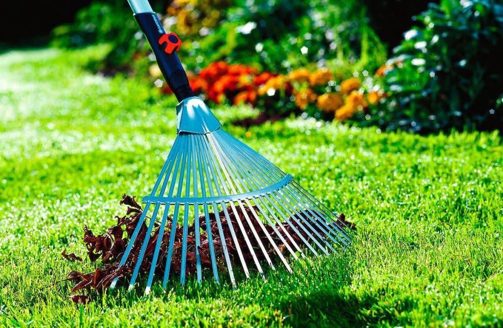 Услуги по стрижке и уход газона