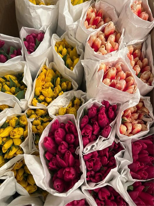 Тюльпаны Большие Бутоны