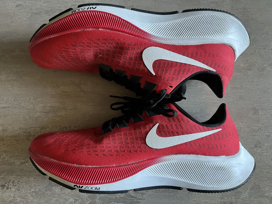 Nike Air Zoom Pegasus