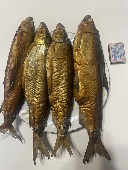 Пелядь горячего копчения