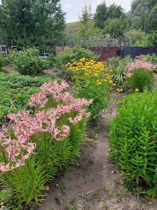 Продаю дачу район Куленовки