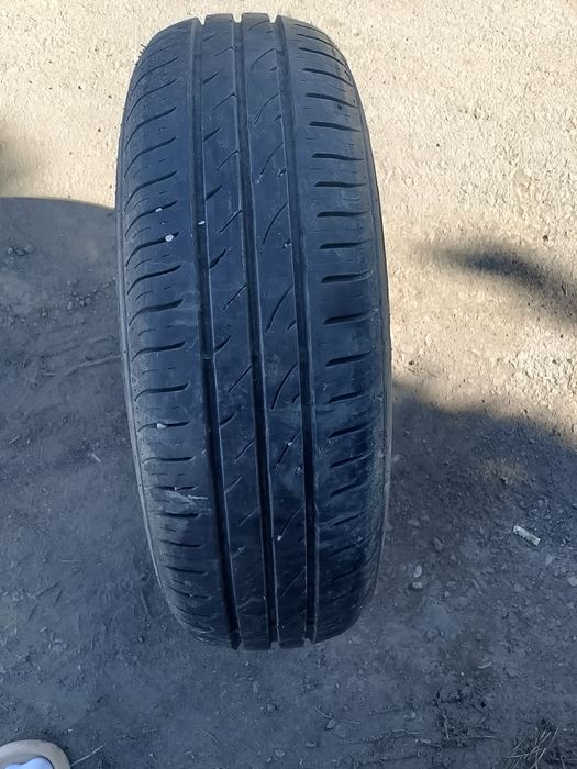1  шутук, Шина R 13.