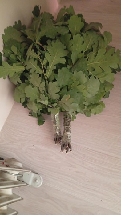 Продам венники банные