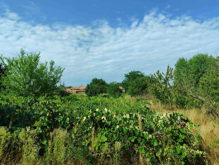 Продава се Къща в с. Миладиновци, Област Добрич - 100 кв.м за 350 €/кв.м - Снимка #12