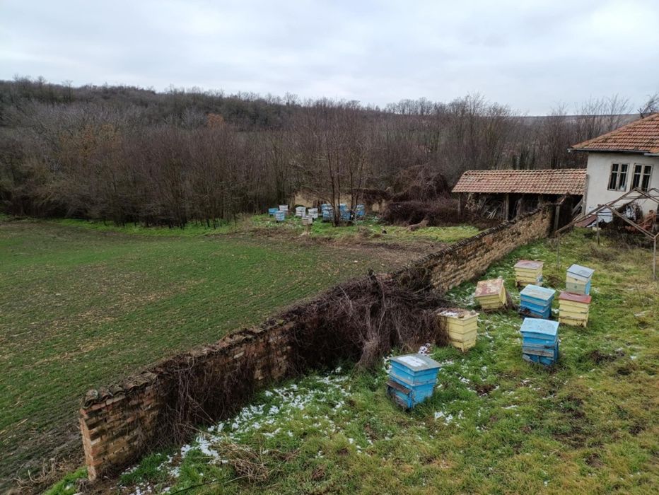 Продава се Къща в Силистра, Център - 3000 кв.м за 6 €/кв.м - Снимка #1