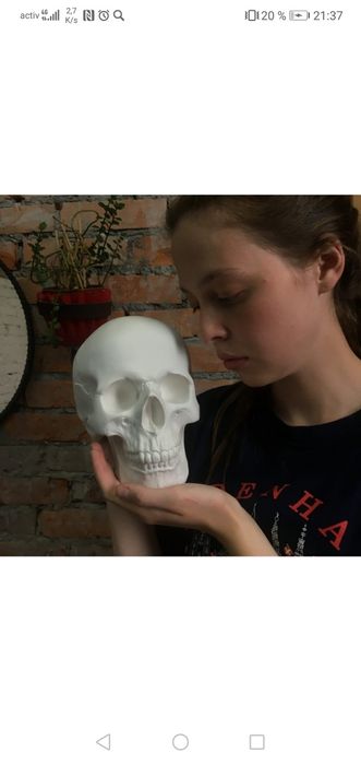 Череп. Черепа. Черепушки.