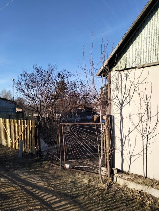 Дача в дачном обществе Сансевьера