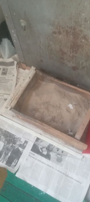 Кошка с тройней.