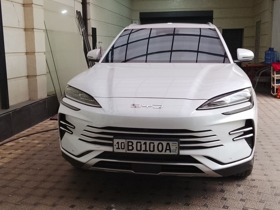 Byd champion gibrid 2024