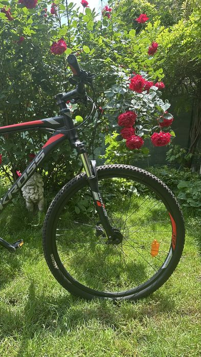 Kross Hexagon 6.0