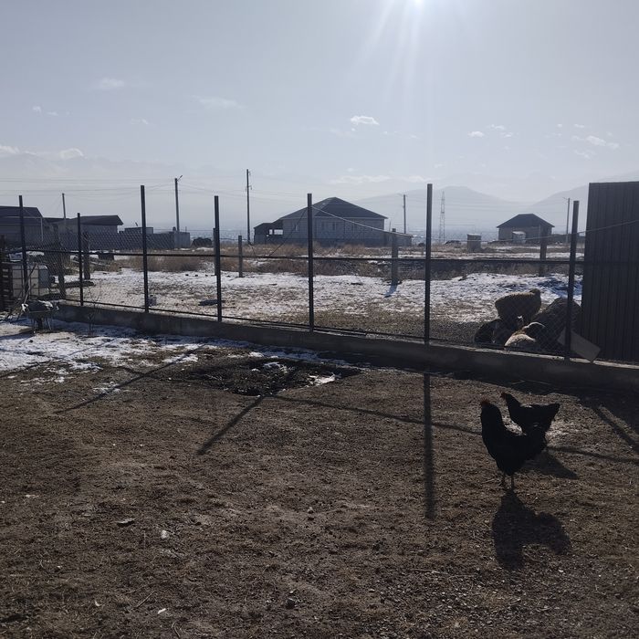 Дом в тихом районе