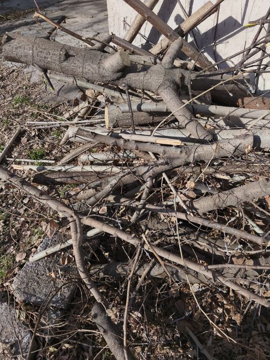 Продам на дрова. 10тенге