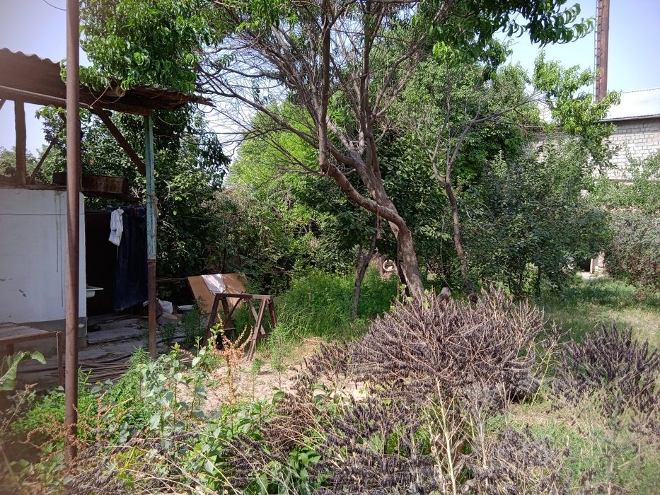 Quruq yer xonwa vremyanka ayvoni bn