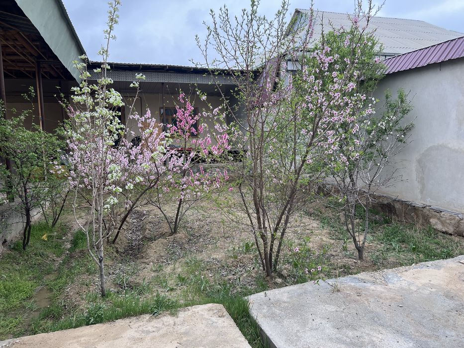 Tayyor Hovli 4 sotix, hamma qulayliklari bilan