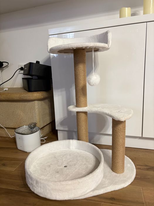 Котешка катерушка, София