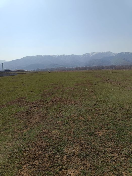 Земельный участок