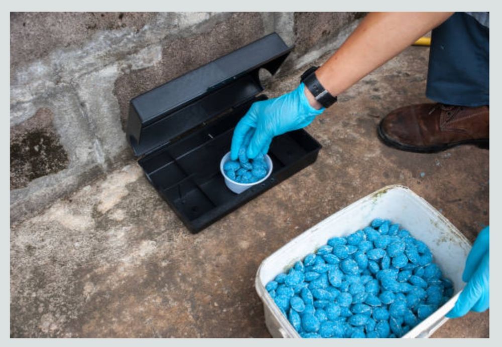 Бокс от грызунов