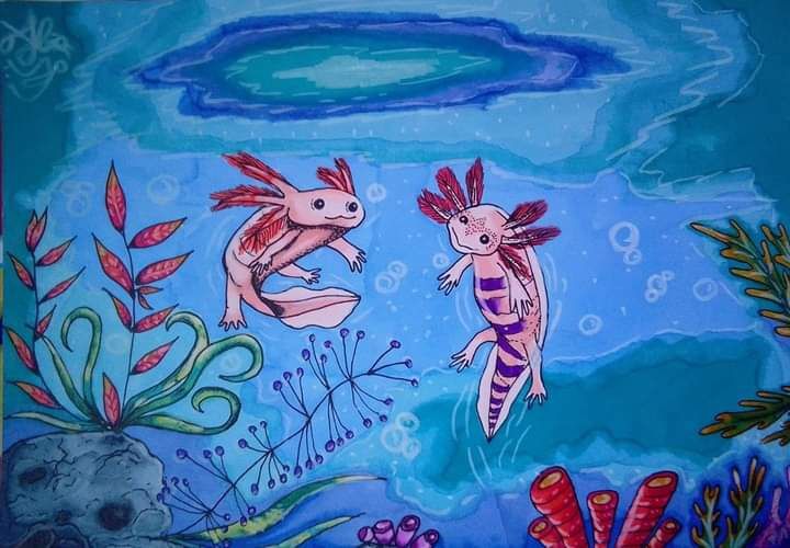 Postere de marime medie, cu design-urile mele originale