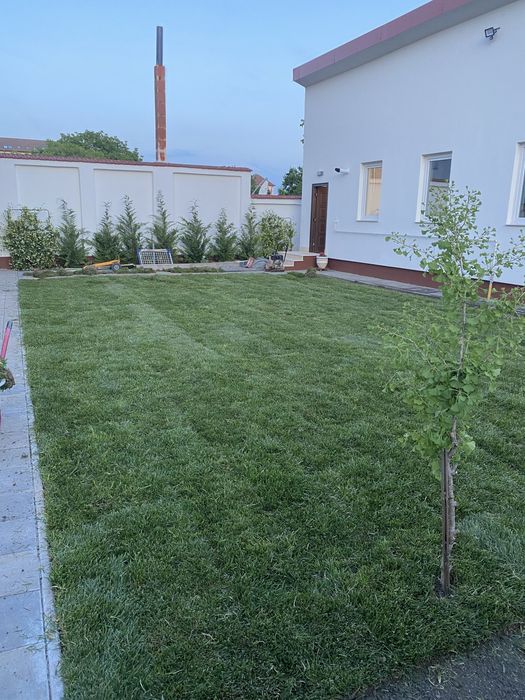 Servicii amenajare și  întreținere spații verzi Verde Urban Arad