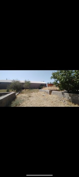 Yer uchastkasi sotiladi shinam joy