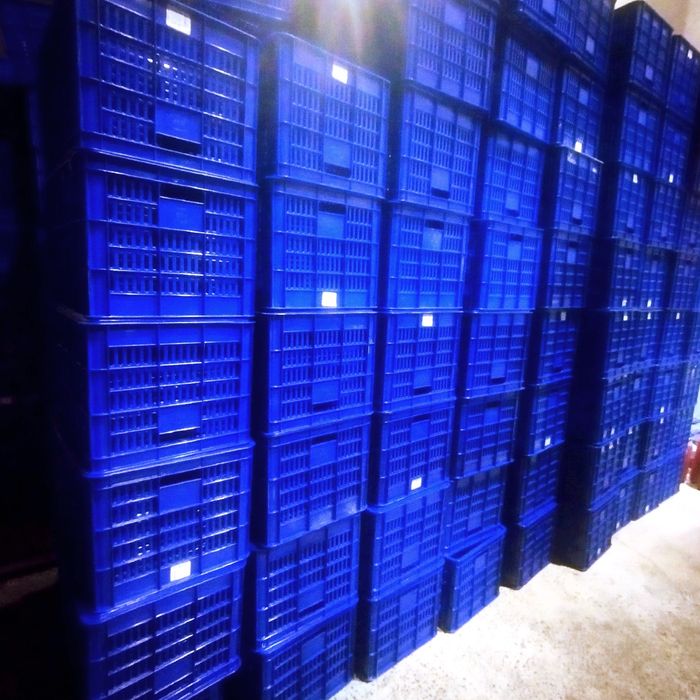 Plastmassa Yashik ящик оптимда