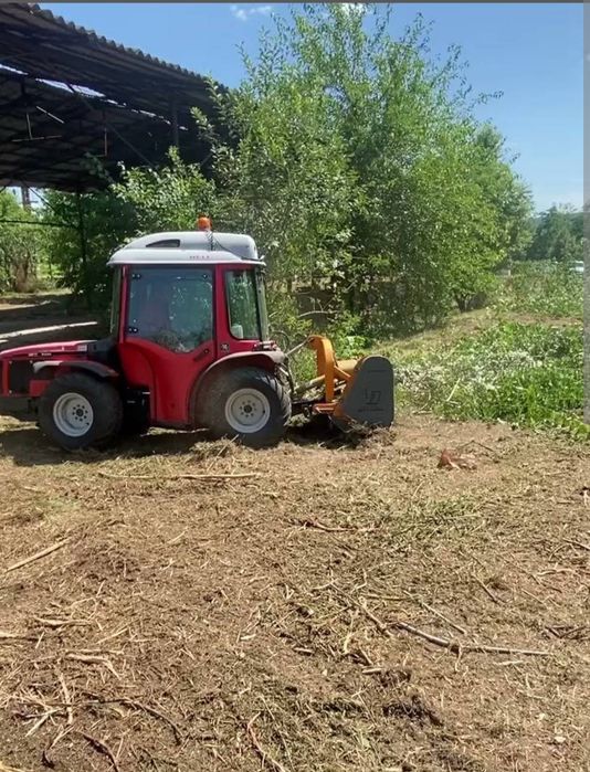 Defrișare/evacuare /erbicidare