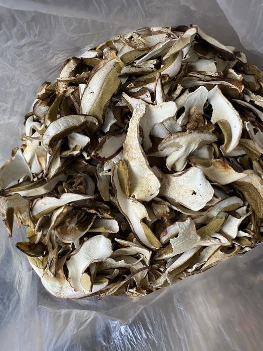 Vand hribi Uscati de toamna