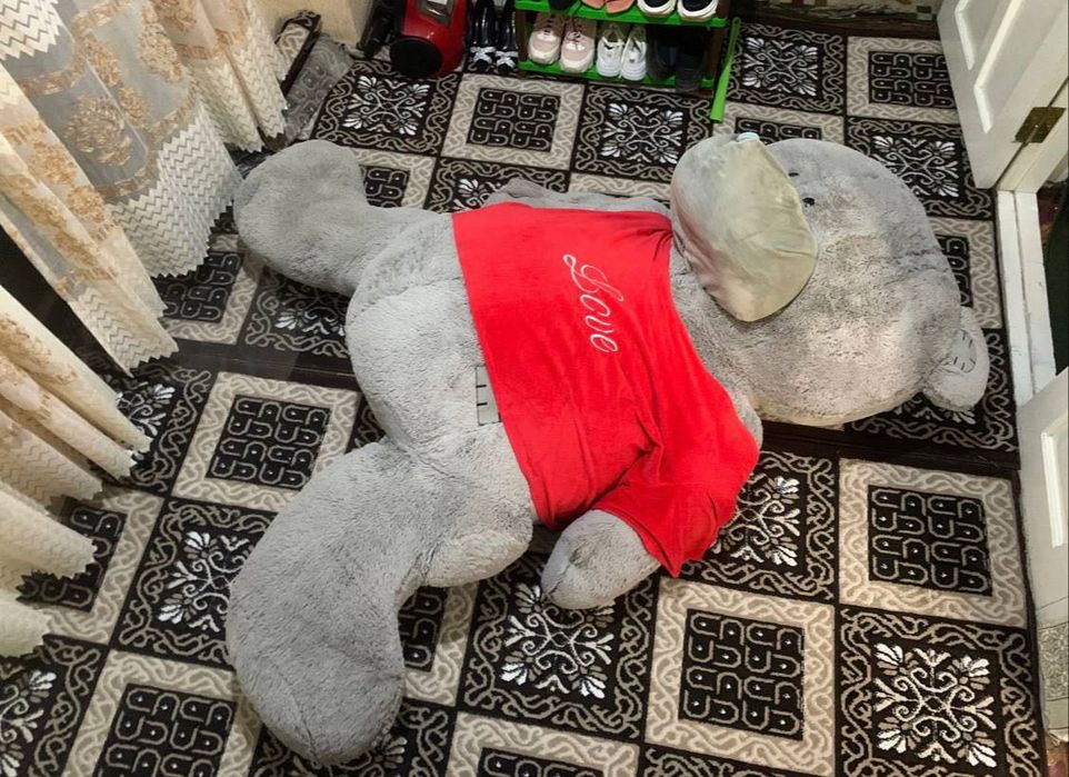 Teddy ayiqcha katta va og’ir