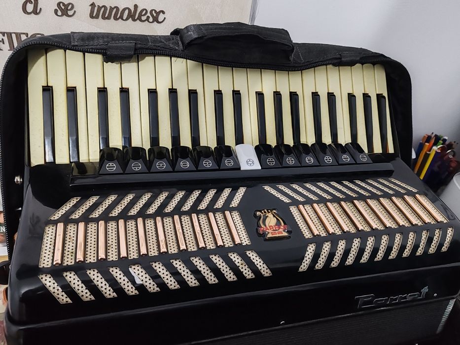 Acordeon Parrot 120 basi