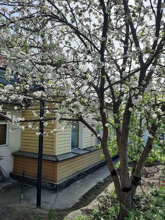 Продам половину дома