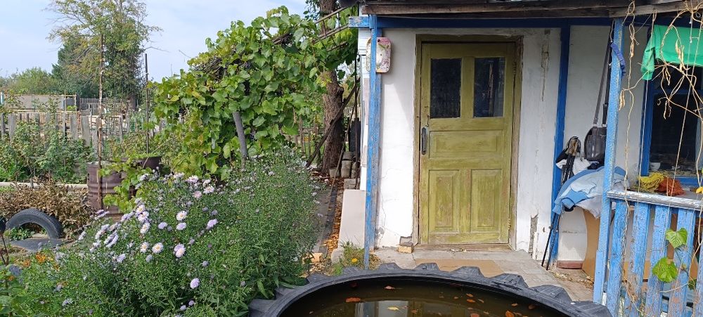 Продам дачный участок с домиком