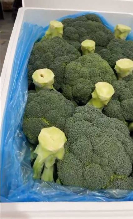 Кибер-защита свежести: пенопластовые боксы(ящики) 25 плотности