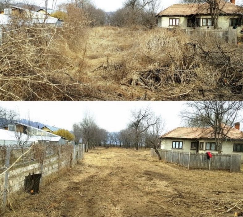 Defrisare curatare teren