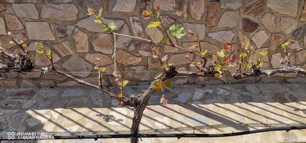 Собственик продава къща, цена 190000 евро.