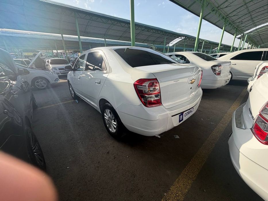 SROCHNA sotiladi oq kobalt