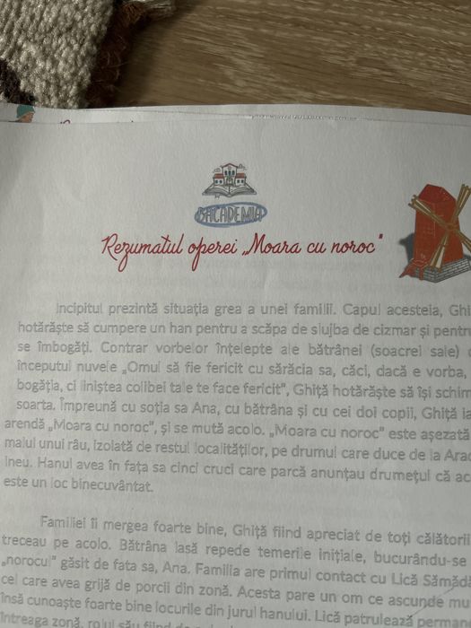 Rezumate si scheme personalizate si eseuri pentru toate operele de bac